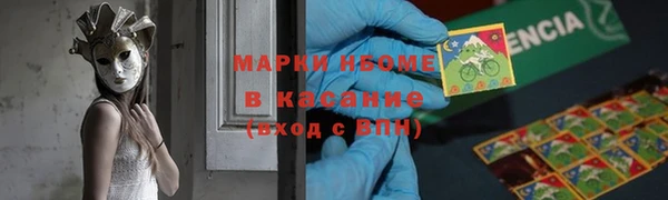 индика Чекалин