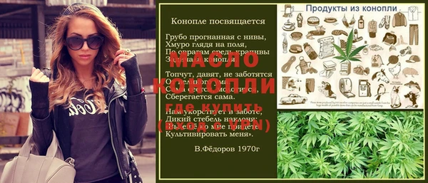 индика Чекалин