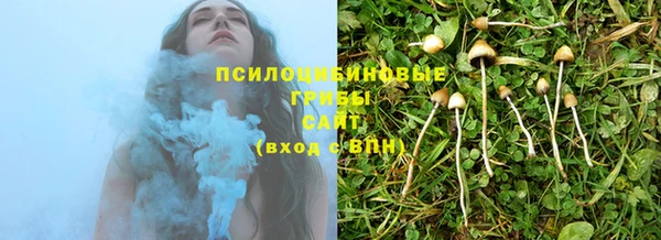 кокс Баксан